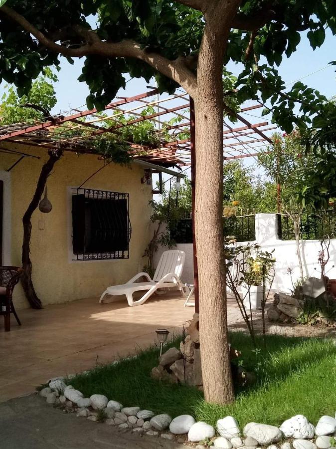 הוילה Drepano  Panos And Chrisas House מראה חיצוני תמונה