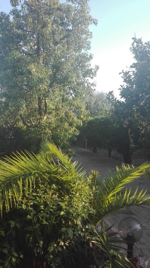 הוילה Drepano  Panos And Chrisas House מראה חיצוני תמונה