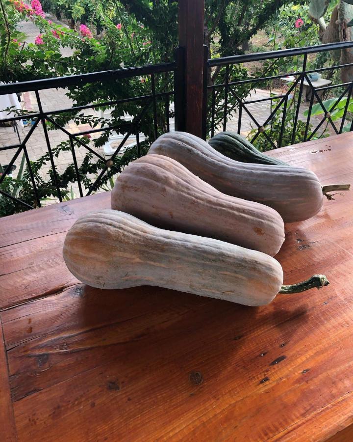 הוילה Drepano  Panos And Chrisas House מראה חיצוני תמונה