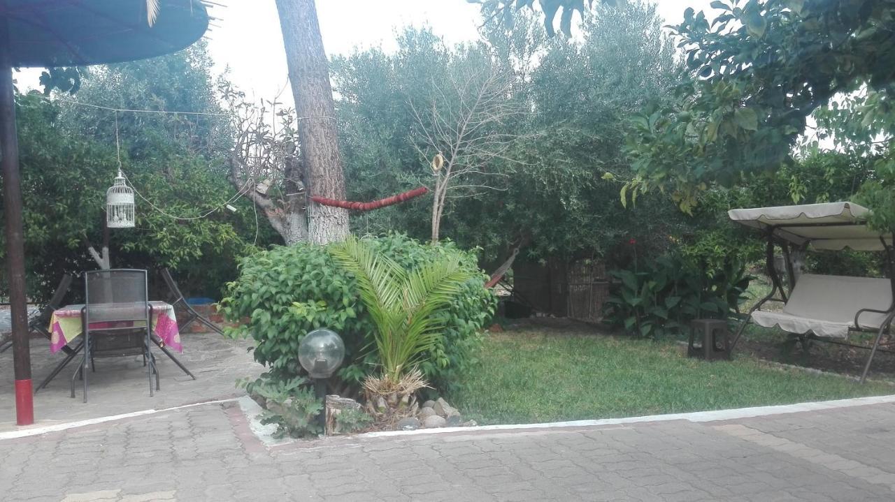 הוילה Drepano  Panos And Chrisas House מראה חיצוני תמונה