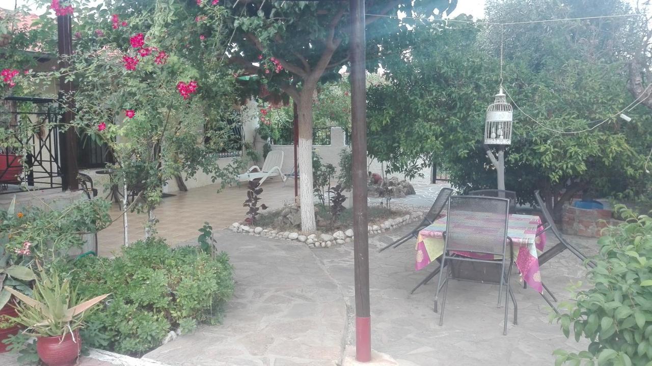 הוילה Drepano  Panos And Chrisas House מראה חיצוני תמונה