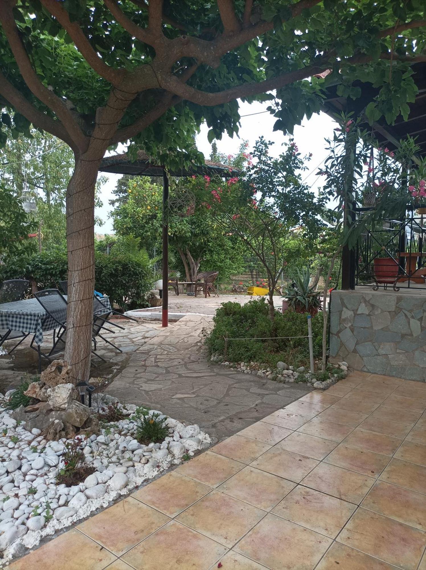 הוילה Drepano  Panos And Chrisas House מראה חיצוני תמונה